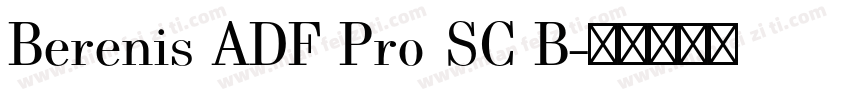 Berenis ADF Pro SC B字体转换